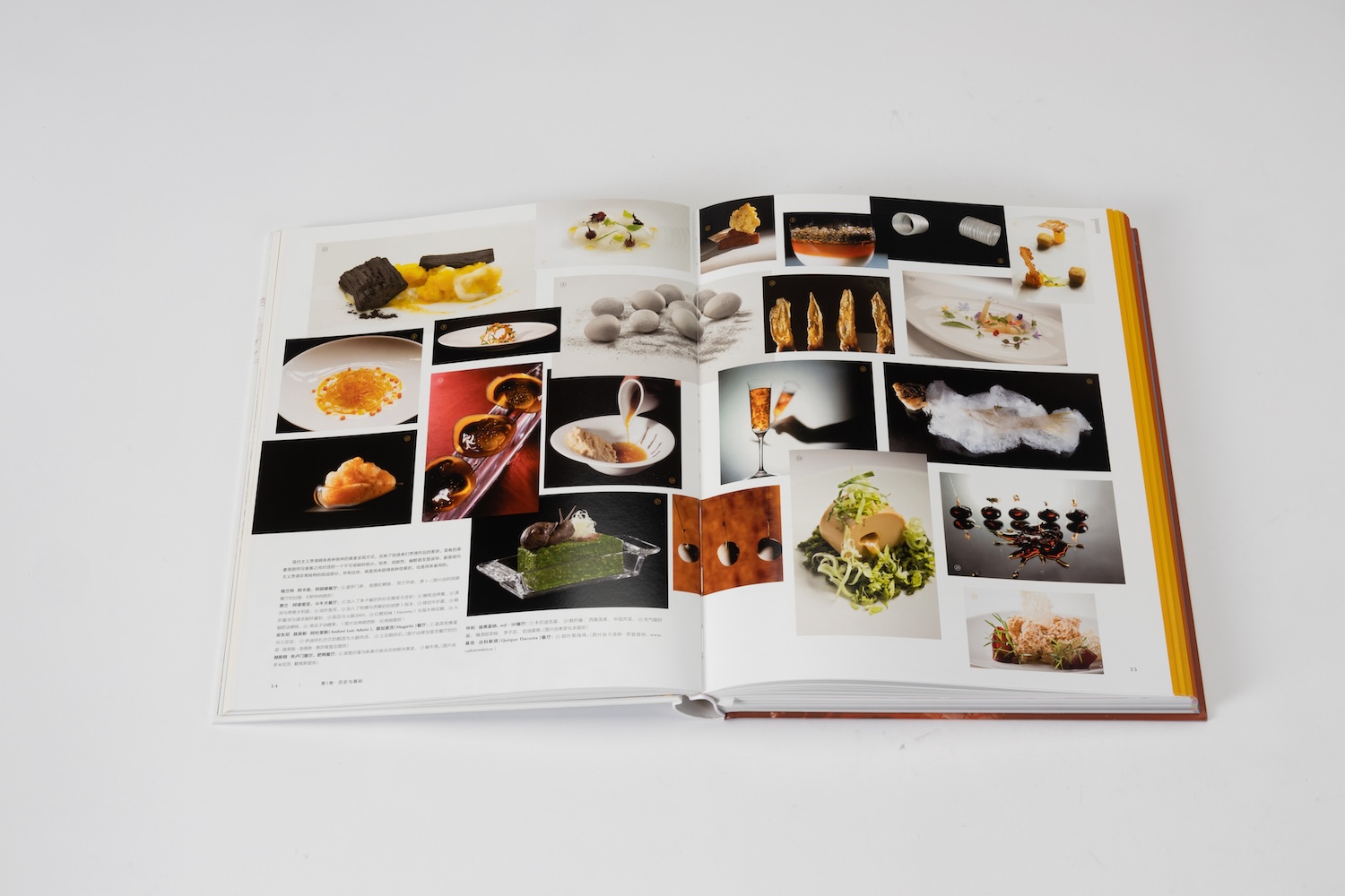 Artron Print-Modernist Cuisine